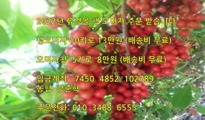 문경몰 이미지