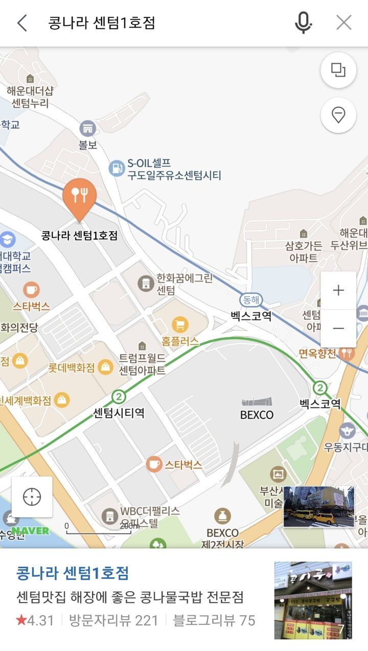 콩나라 이미지