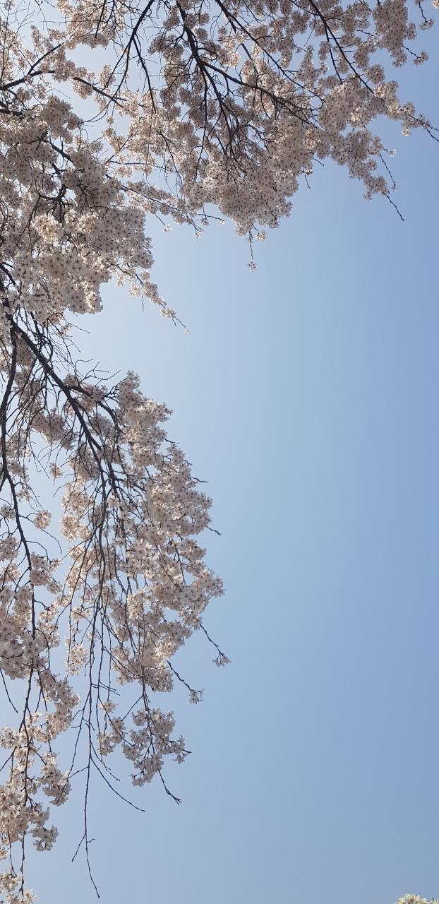 아드레날린 이미지