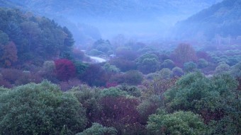 비밀정원12 이미지