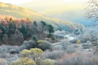 비밀정원12 이미지