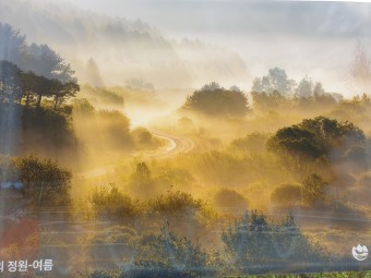 비밀정원12 이미지