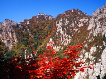 금강산 이미지