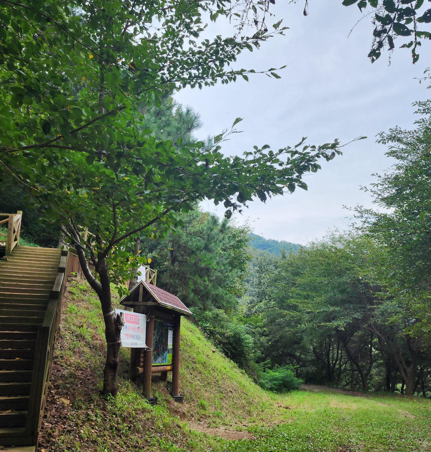 새동네다방 이미지