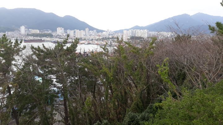 창선 사진 5
