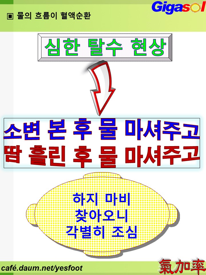 하지커피 이미지