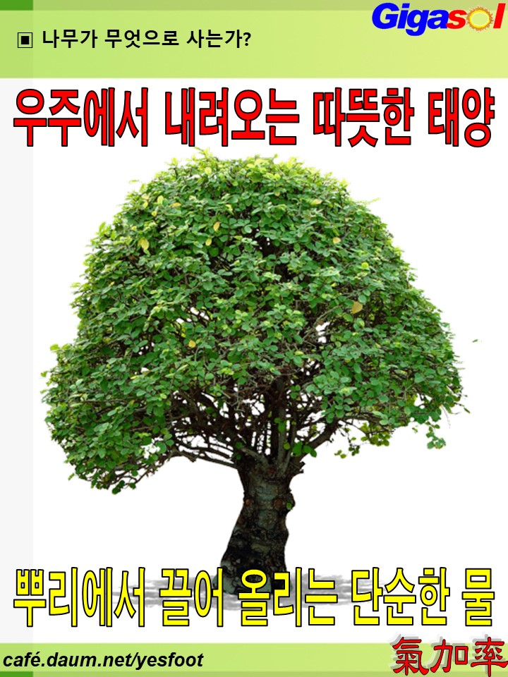 하지커피 이미지