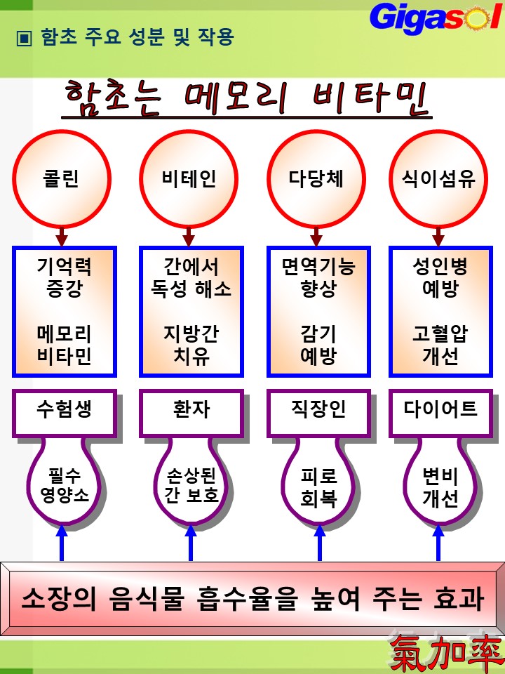 기가솔건강방 이미지