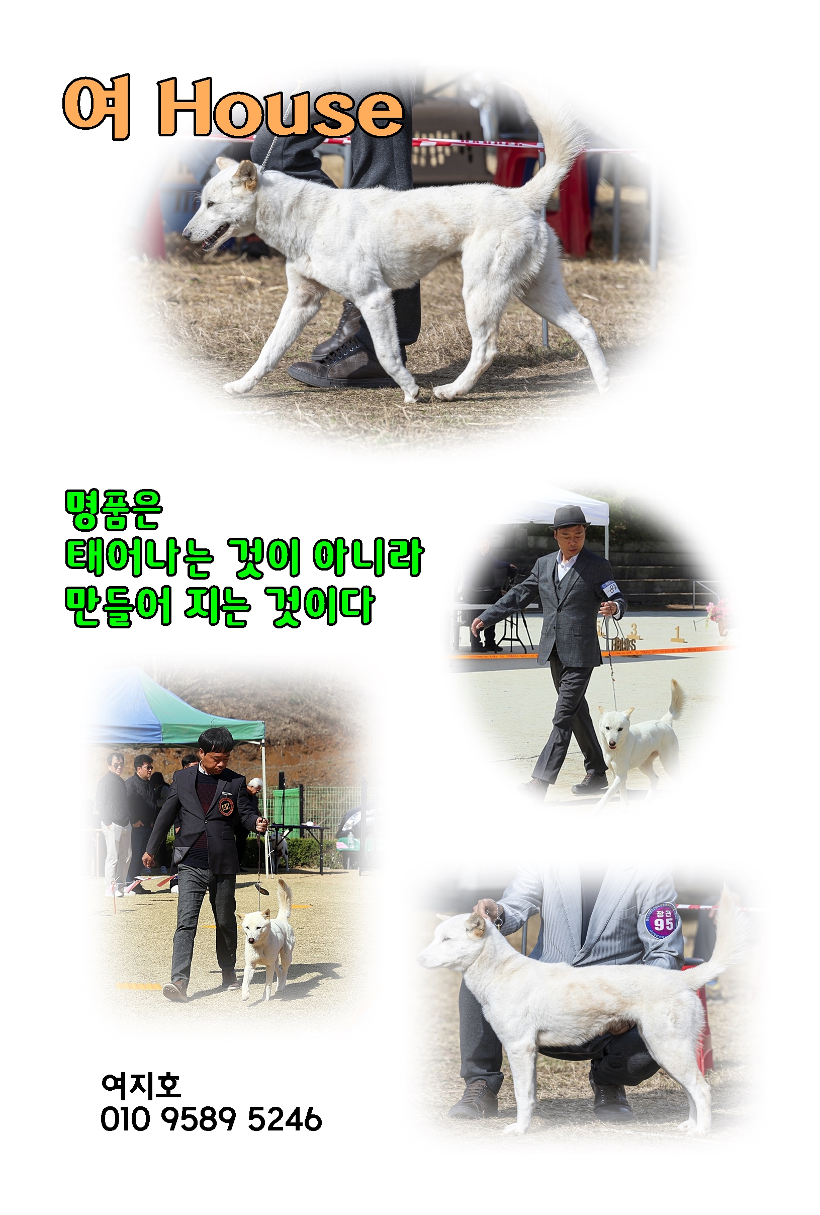 맘에드는광고 이미지