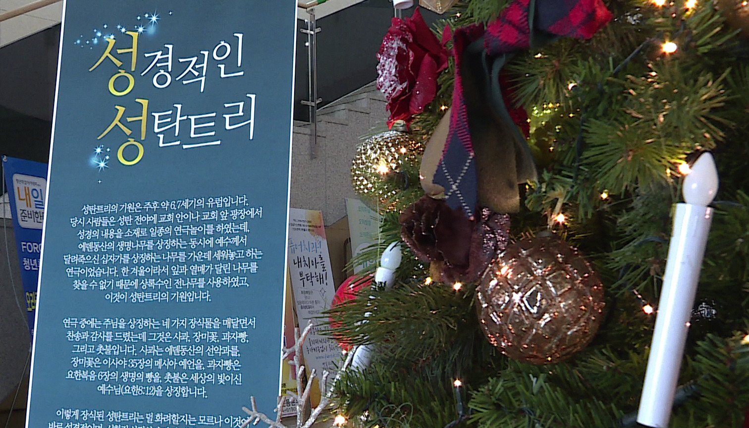 빵트리 이미지
