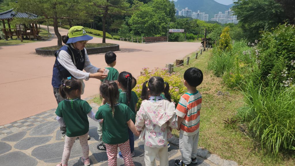 살랑살랑 이미지