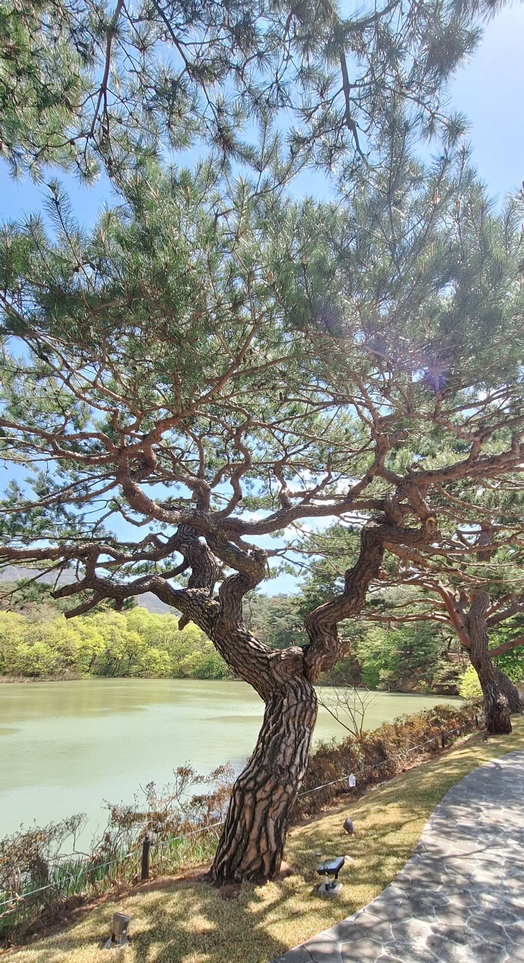 토함산 이미지