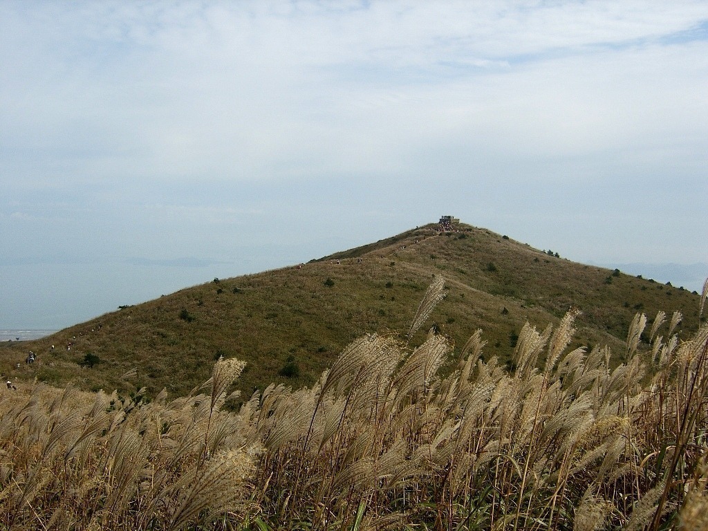 덕산관광농원 이미지