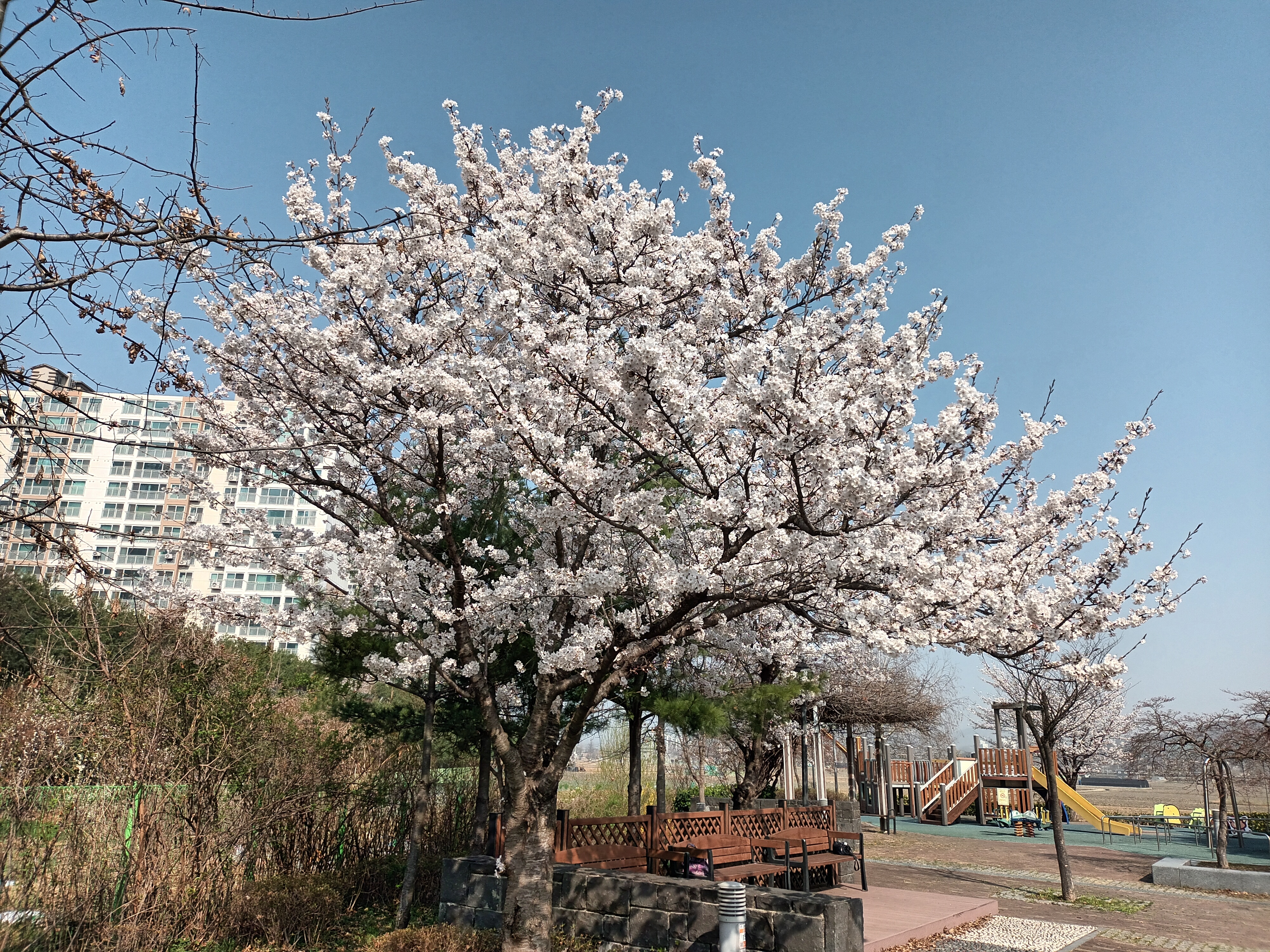사랑열쇠 이미지