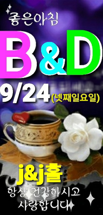 비앤디 이미지
