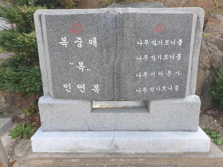아랑고고 이미지