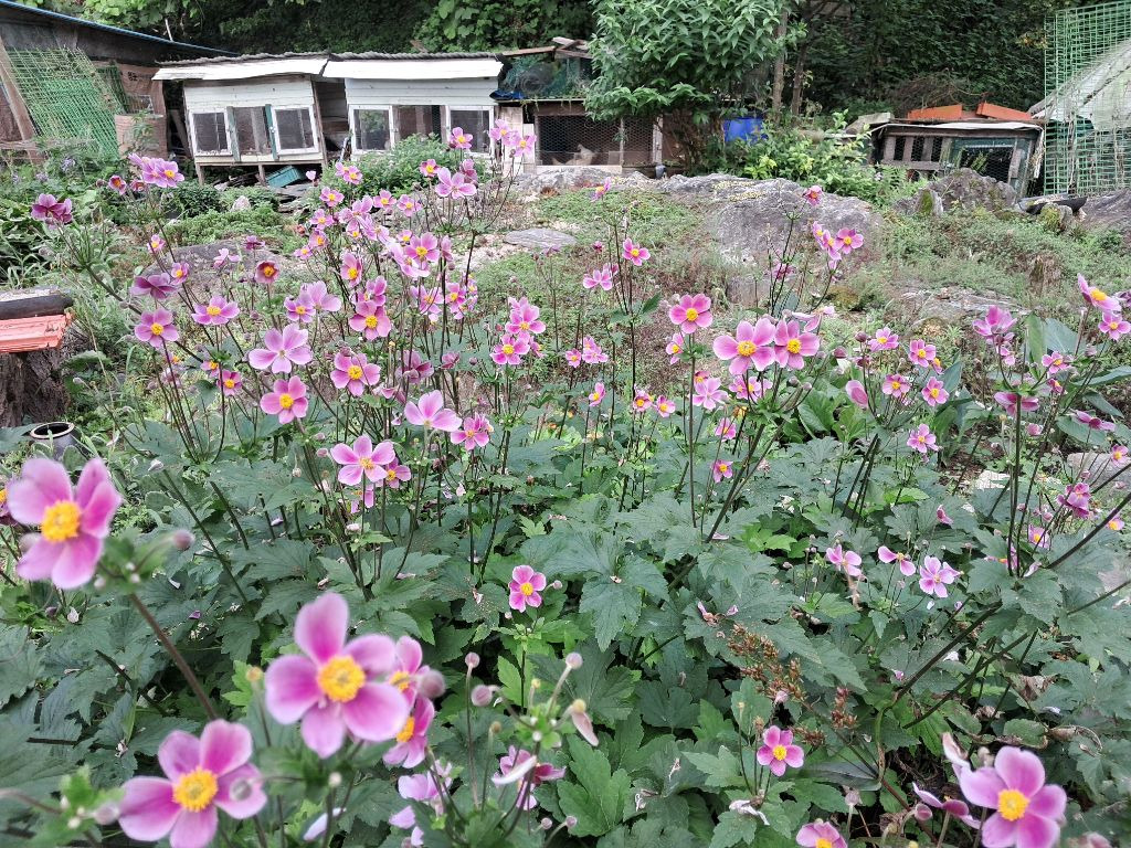 우리좋은날 이미지