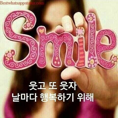 정육점입니다 이미지