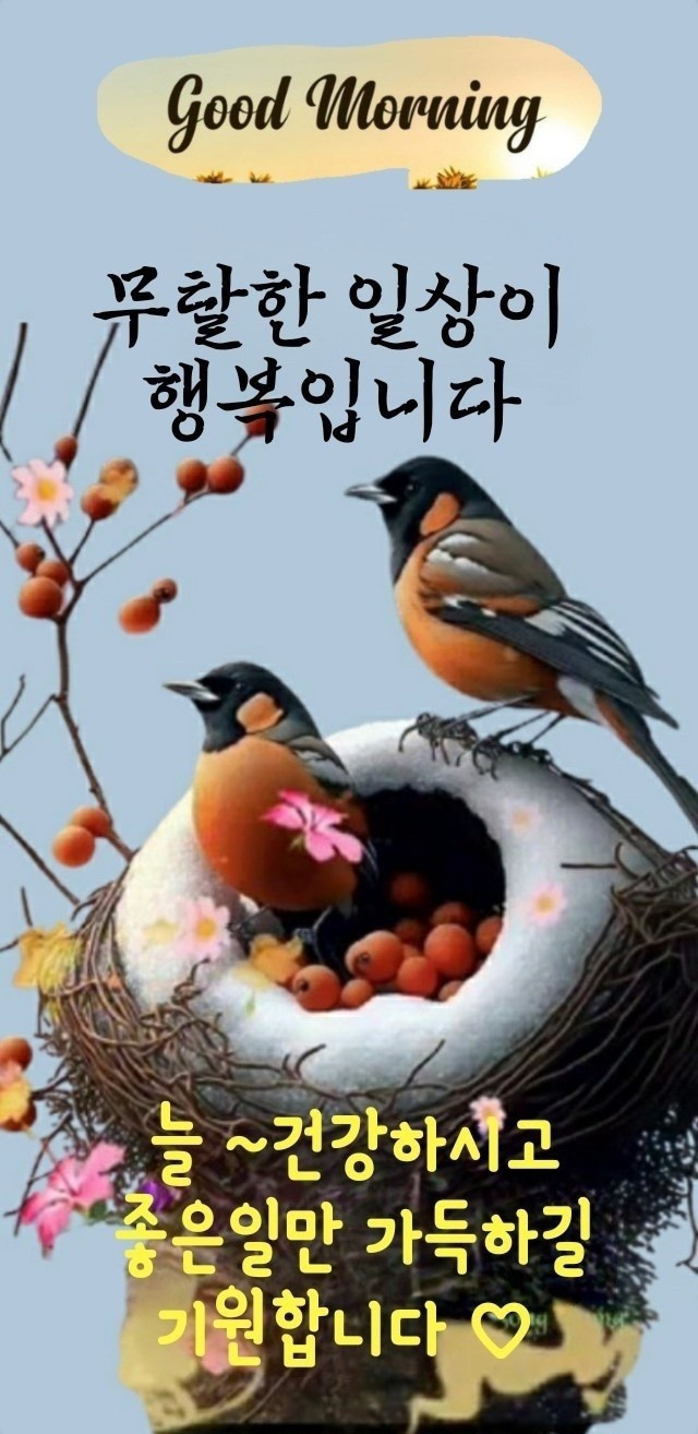 선선10 이미지