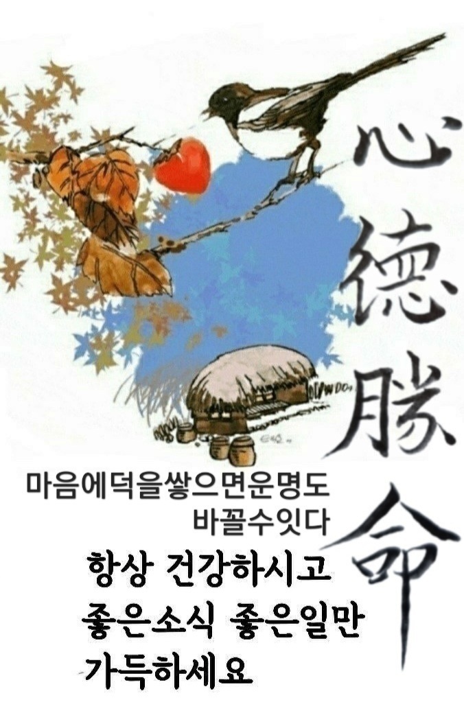 (주)아침 이미지