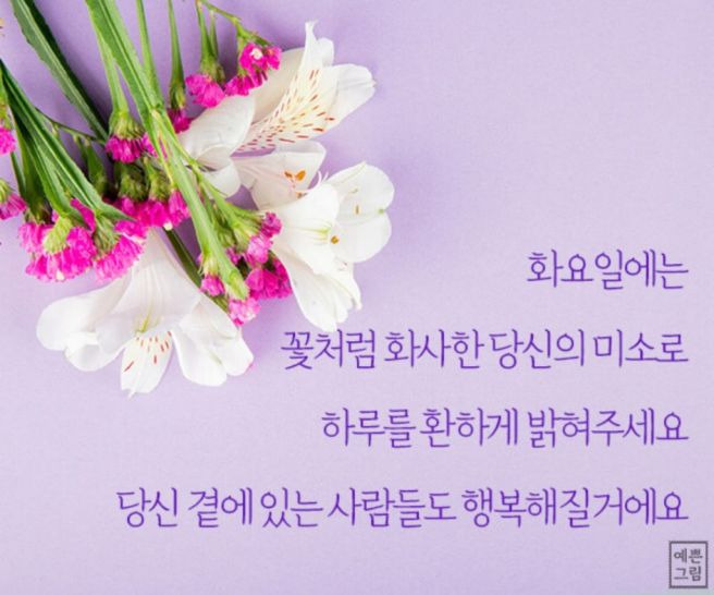 화요일 이미지