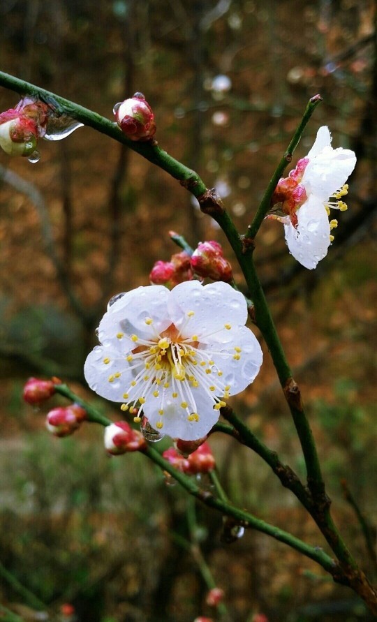 바람의노래식당 이미지
