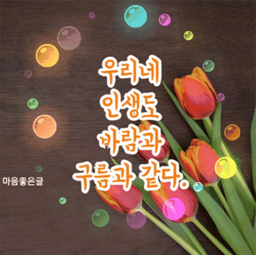전박사 이미지