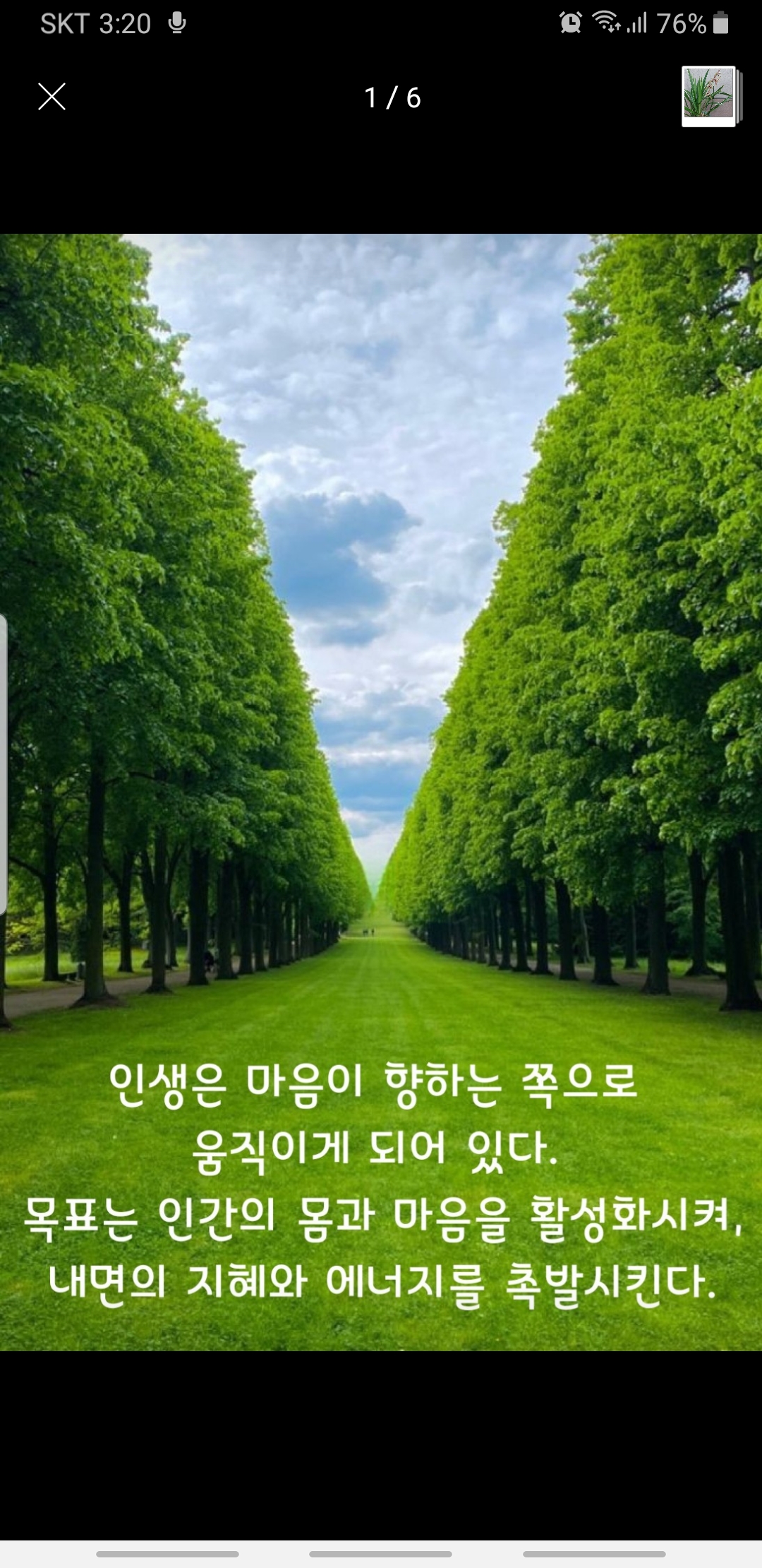 푸른향기 이미지