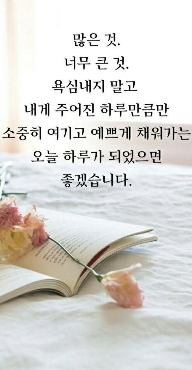 (주)작은사랑작은행복 이미지