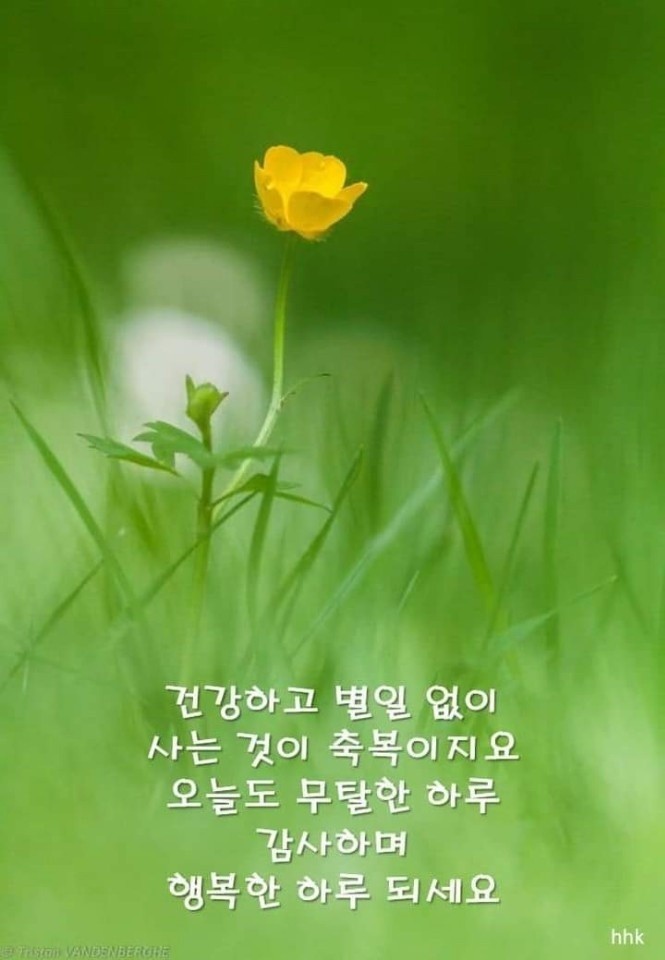 쥬리아 이미지