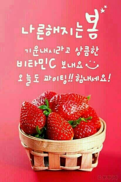 신나는 이미지
