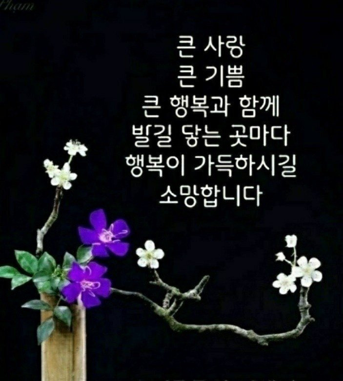멋진하루 이미지