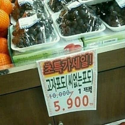 포도 이미지