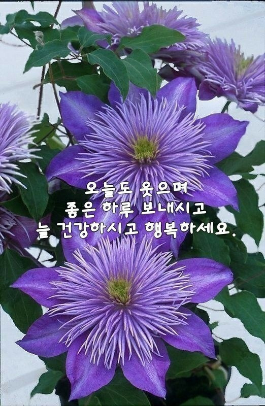 유앤아이방방 이미지