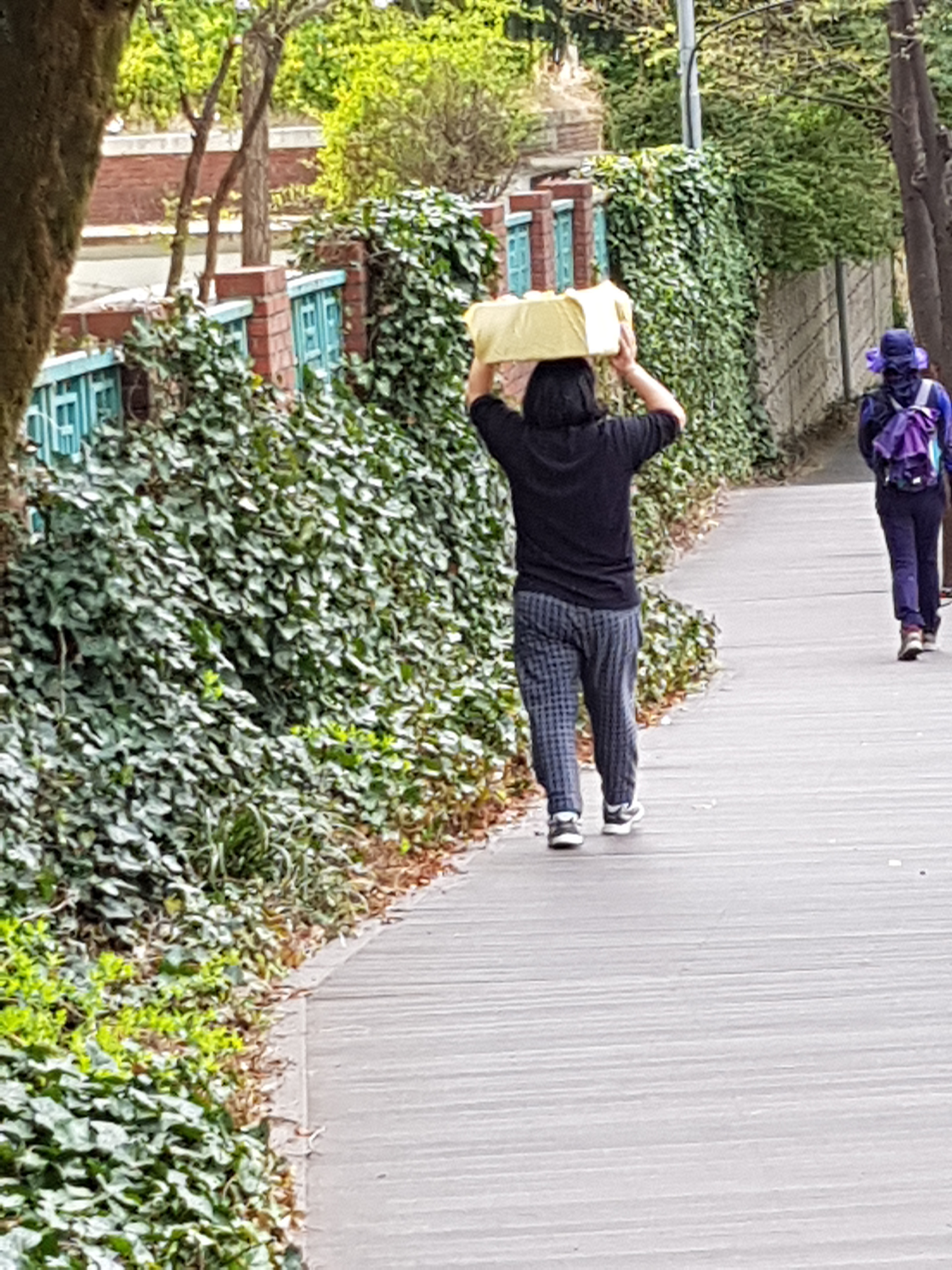 국짱 이미지