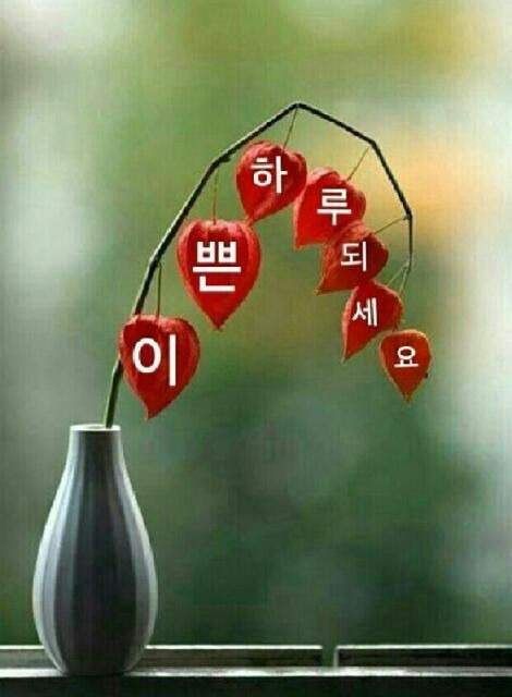 예쁜 이미지