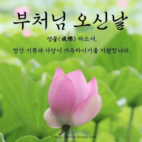 토비아 이미지