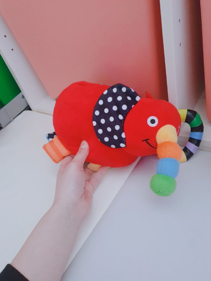 다솜이네 이미지