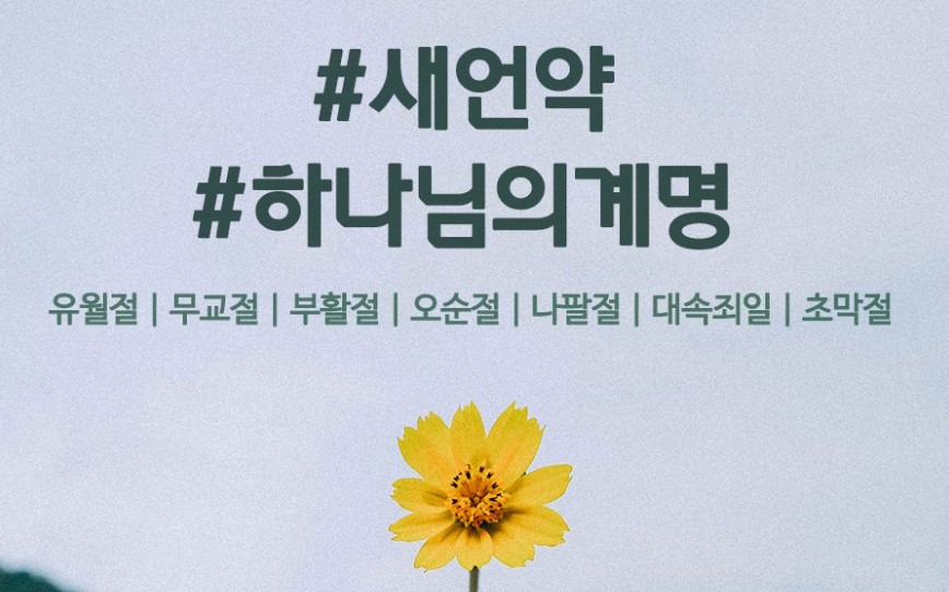 다주여행사 이미지