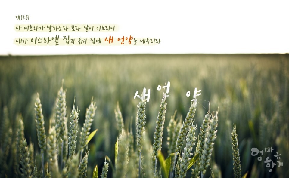 법인백성 이미지