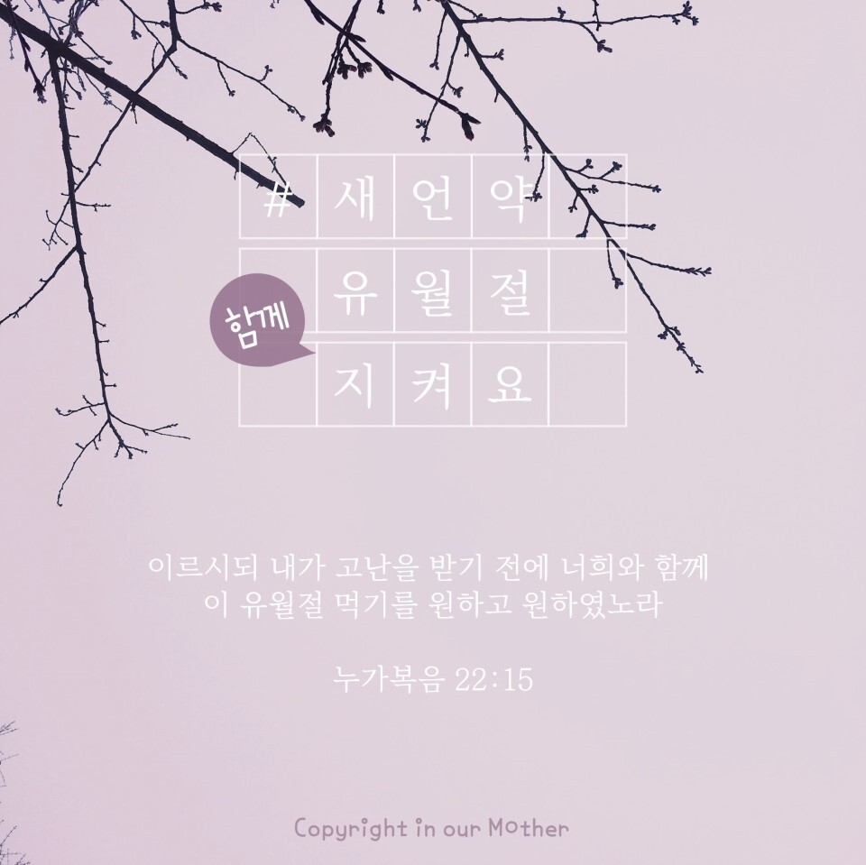 법인백성 이미지