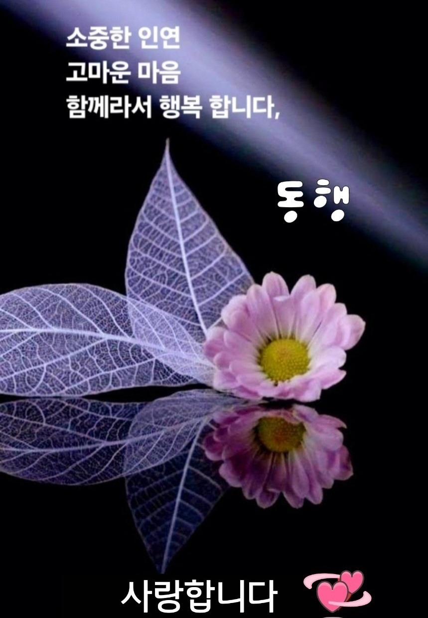 시월호텔 이미지