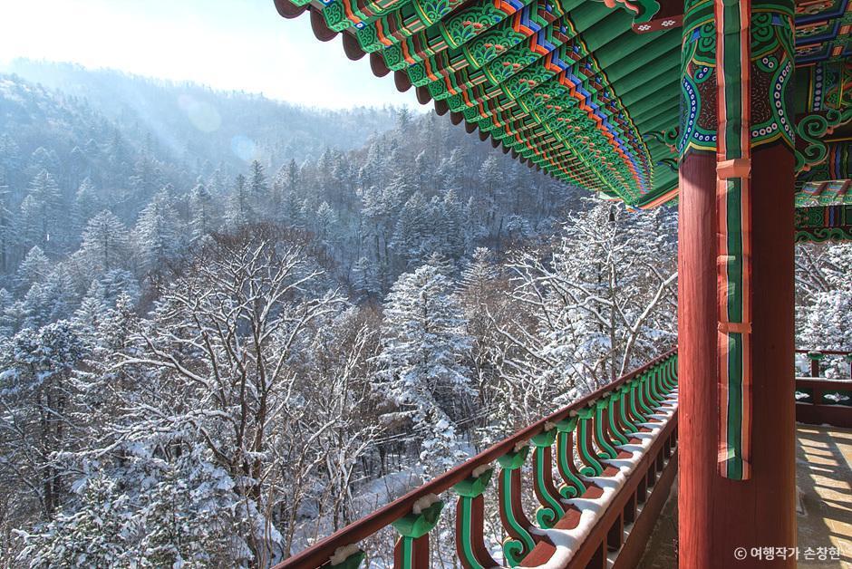 평창눈꽃 이미지