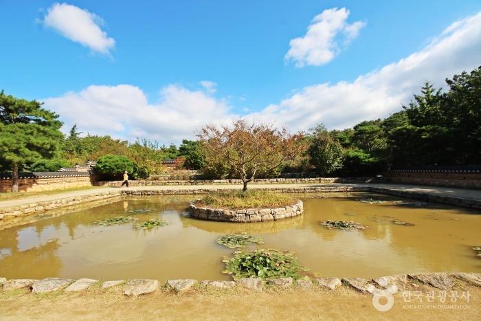 더불어숲생태학교 이미지