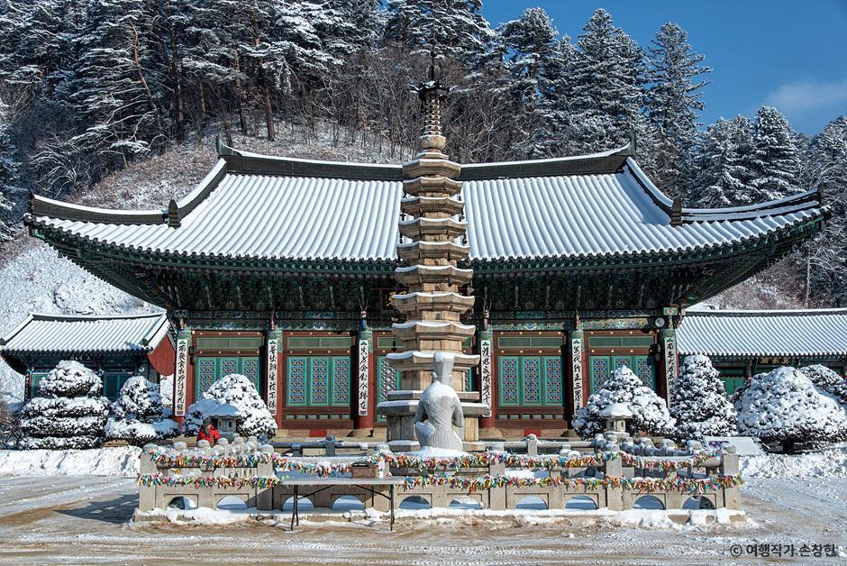 평창눈꽃 이미지