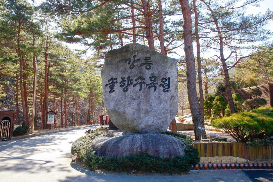 힐링강릉 이미지