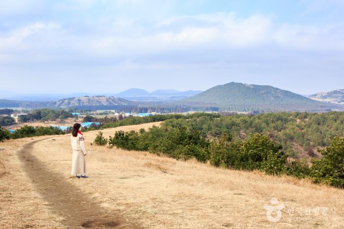 제주 자연속에서 이미지