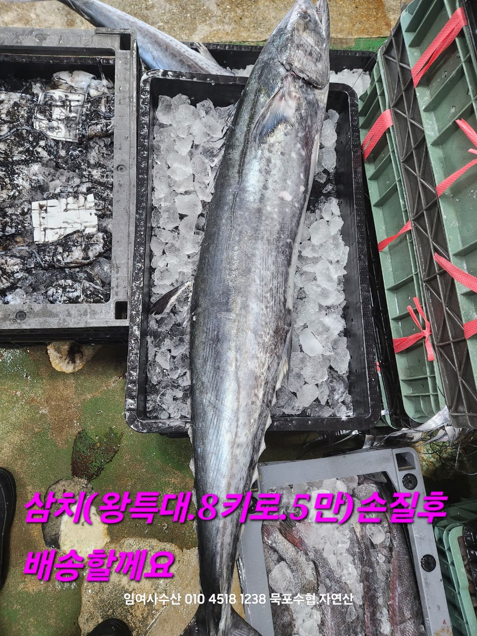 임여사수산 이미지