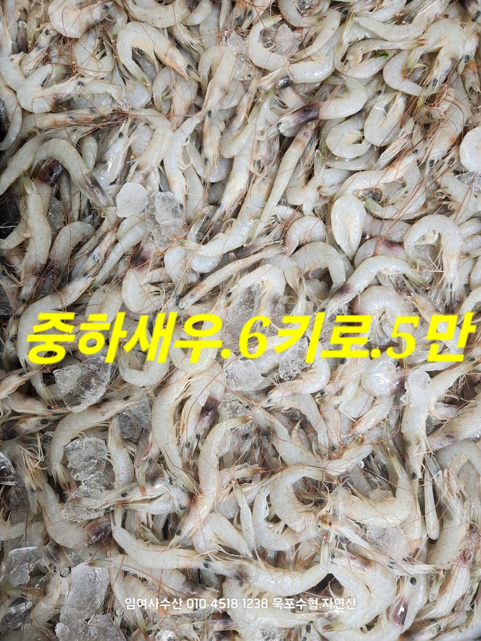 임여사수산 이미지