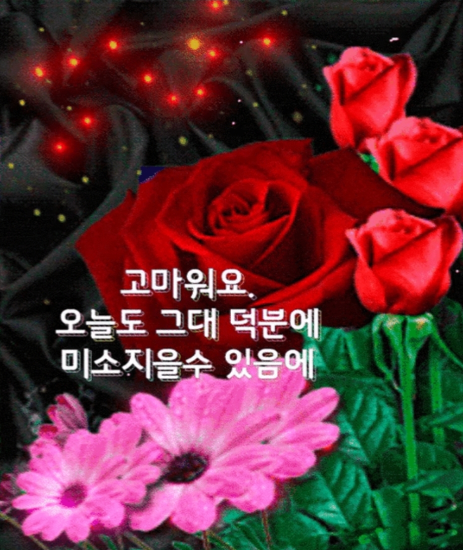 꽃보다사랑 이미지